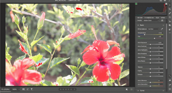 How to Fix Overexposed Photos & High Exposure Photos